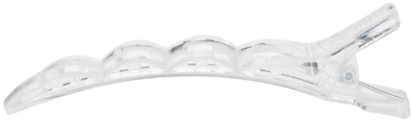 DBCH49transparent