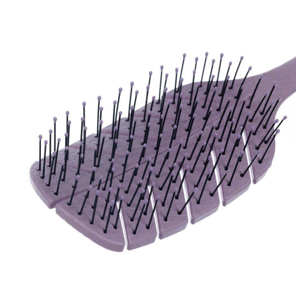 DBEF1-Lilac_2