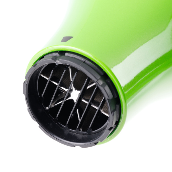 03-119_GreenL_5